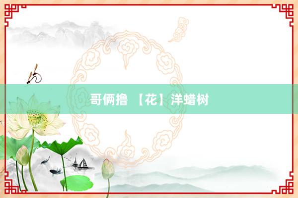 哥俩撸 【花】洋蜡树