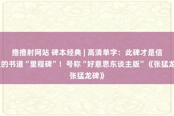 撸撸射网站 碑本经典 | 高清单字：此碑才是信得过的书道“里程碑”！号称“好意思东谈主版”《张猛龙碑》