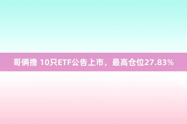 哥俩撸 10只ETF公告上市，最高仓位27.83%