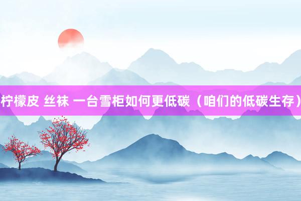 柠檬皮 丝袜 一台雪柜如何更低碳（咱们的低碳生存）