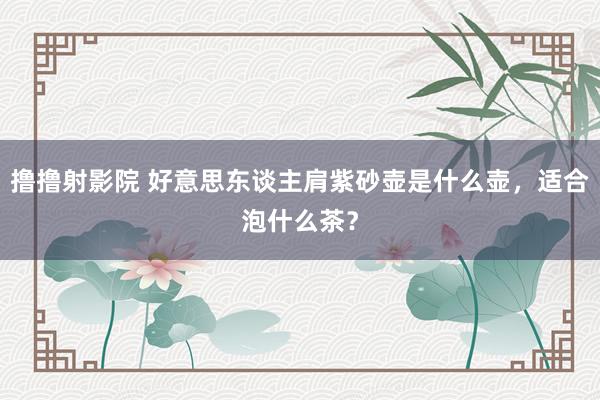 撸撸射影院 好意思东谈主肩紫砂壶是什么壶，适合泡什么茶？