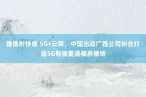 撸撸射快播 5G+云霄，中国出动广西公司纠合打造5G智能要道楼房猪场