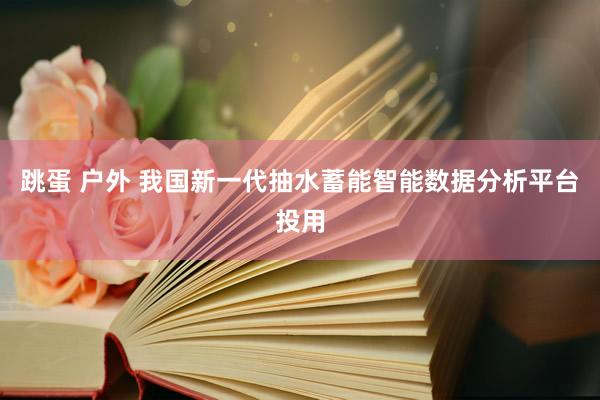 跳蛋 户外 我国新一代抽水蓄能智能数据分析平台投用