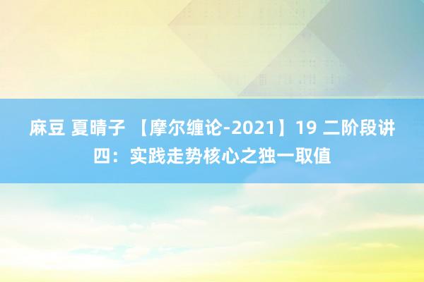 麻豆 夏晴子 【摩尔缠论-2021】19 二阶段讲四：实践走势核心之独一取值