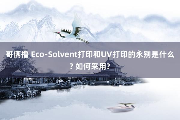 哥俩撸 Eco-Solvent打印和UV打印的永别是什么? 如何采用?