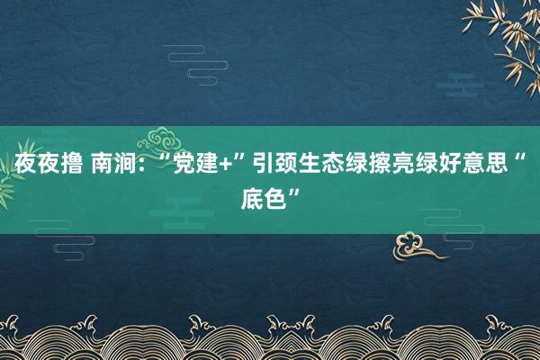 夜夜撸 南涧: “党建+”引颈生态绿擦亮绿好意思“底色”