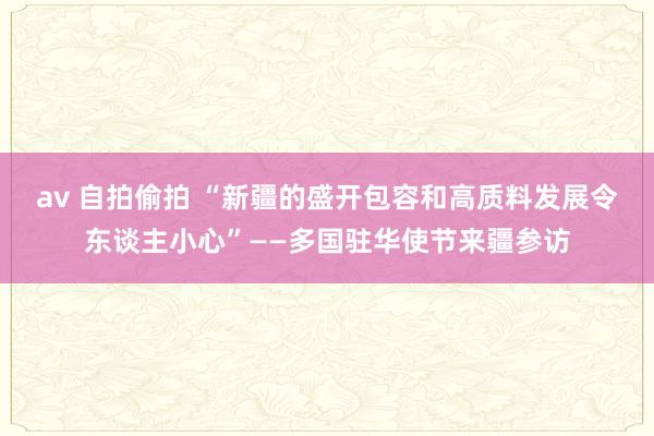 av 自拍偷拍 “新疆的盛开包容和高质料发展令东谈主小心”——多国驻华使节来疆参访