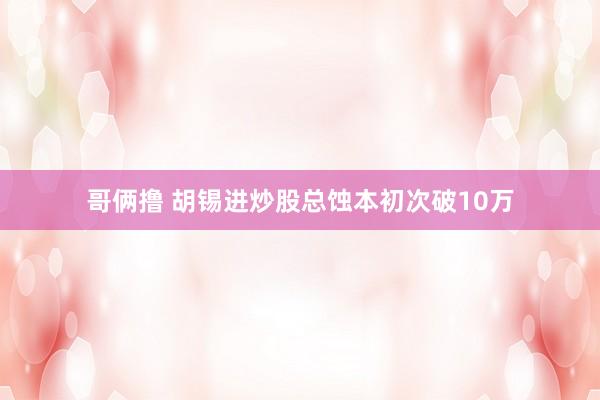 哥俩撸 胡锡进炒股总蚀本初次破10万