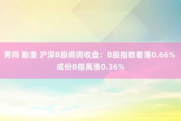 男同 動漫 沪深B股阛阓收盘：B股指数着落0.66% 成份B指高涨0.36%