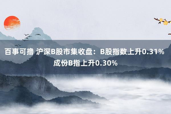 百事可撸 沪深B股市集收盘：B股指数上升0.31% 成份B指上升0.30%