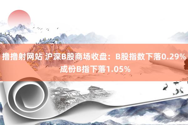 撸撸射网站 沪深B股商场收盘：B股指数下落0.29% 成份B指下落1.05%