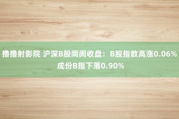 撸撸射影院 沪深B股阛阓收盘：B股指数高涨0.06% 成份B指下落0.90%