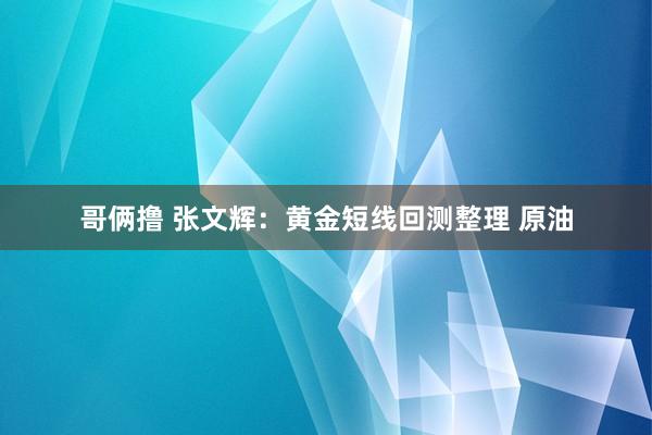 哥俩撸 张文辉：黄金短线回测整理 原油