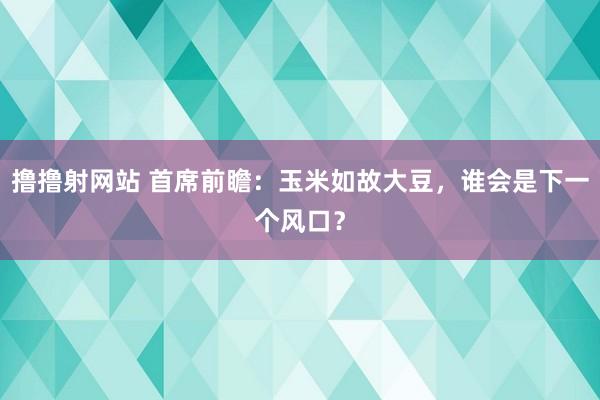 撸撸射网站 首席前瞻：玉米如故大豆，谁会是下一个风口？