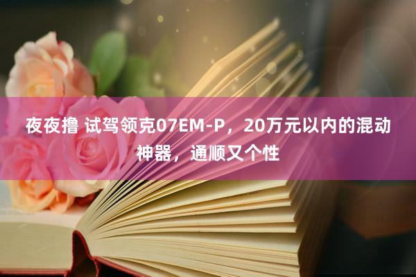 夜夜撸 试驾领克07EM-P，20万元以内的混动神器，通顺又个性