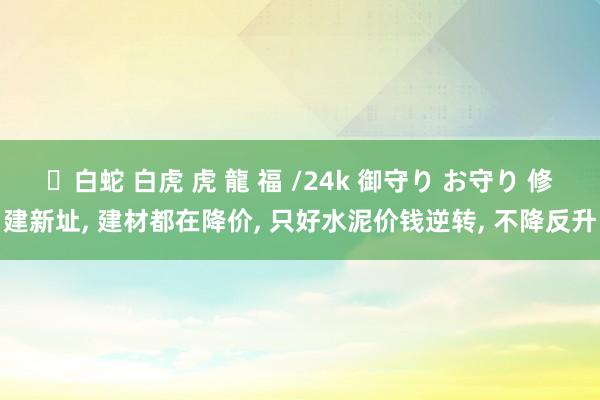 ✨白蛇 白虎 虎 龍 福 /24k 御守り お守り 修建新址， 建材都在降价， 只好水泥价钱逆转， 不降反升