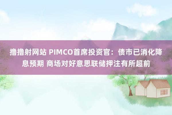 撸撸射网站 PIMCO首席投资官：债市已消化降息预期 商场对好意思联储押注有所超前