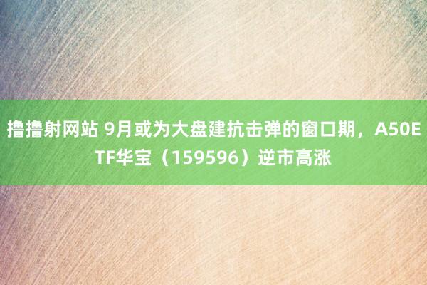 撸撸射网站 9月或为大盘建抗击弹的窗口期，A50ETF华宝（159596）逆市高涨