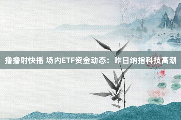 撸撸射快播 场内ETF资金动态：昨日纳指科技高潮