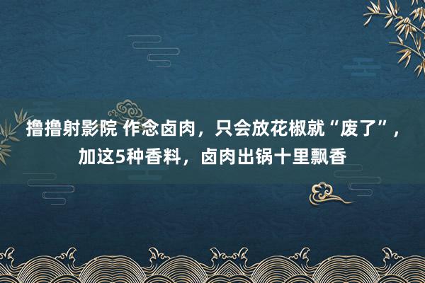 撸撸射影院 作念卤肉，只会放花椒就“废了”，加这5种香料，卤肉出锅十里飘香