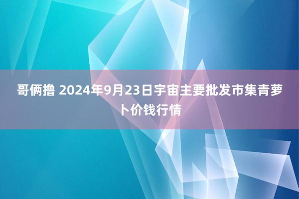 哥俩撸 2024年9月23日宇宙主要批发市集青萝卜价钱行情