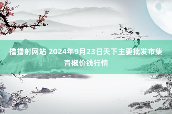 撸撸射网站 2024年9月23日天下主要批发市集青椒价钱行情