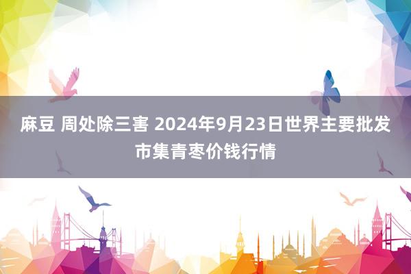 麻豆 周处除三害 2024年9月23日世界主要批发市集青枣价钱行情