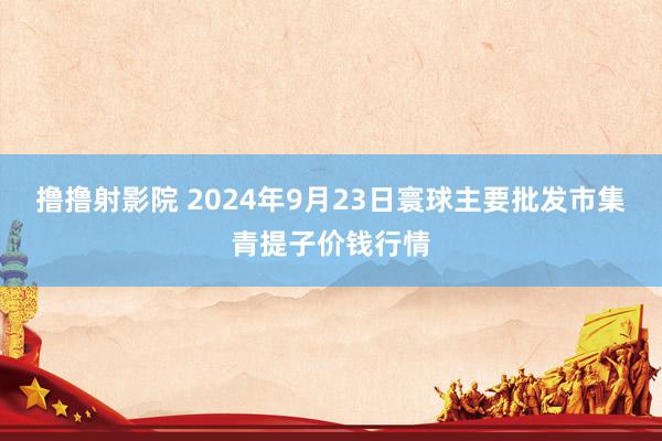 撸撸射影院 2024年9月23日寰球主要批发市集青提子价钱行情