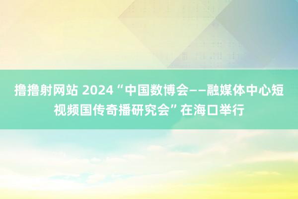 撸撸射网站 2024“中国数博会——融媒体中心短视频国传奇播研究会”在海口举行