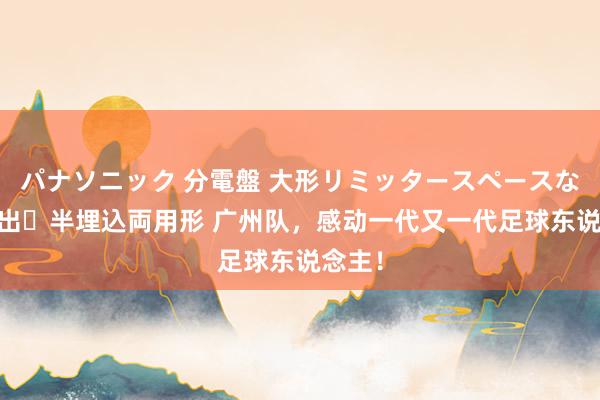 パナソニック 分電盤 大形リミッタースペースなし 露出・半埋込両用形 广州队，感动一代又一代足球东说念主！