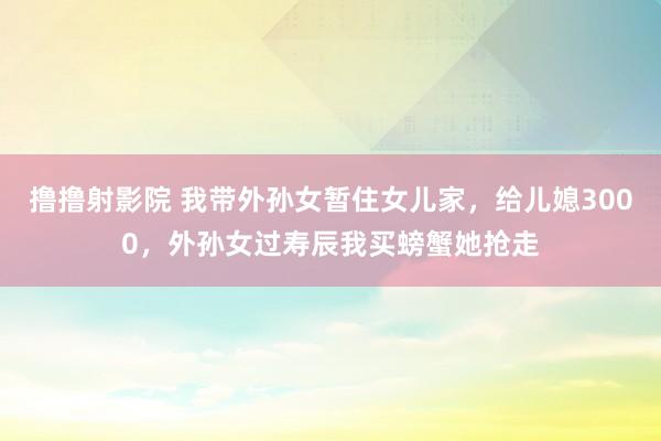 撸撸射影院 我带外孙女暂住女儿家，给儿媳3000，外孙女过寿辰我买螃蟹她抢走