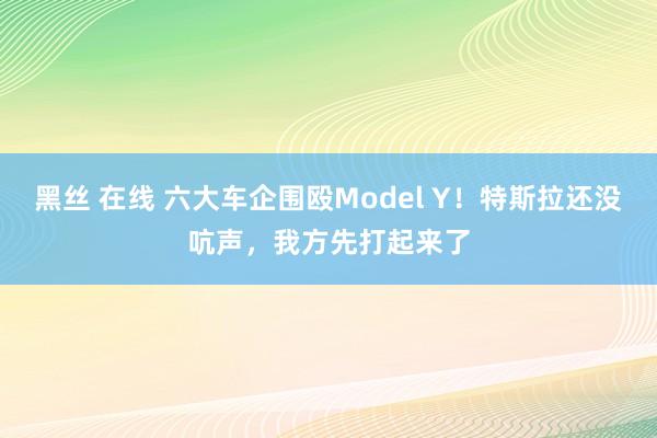 黑丝 在线 六大车企围殴Model Y！特斯拉还没吭声，我方先打起来了