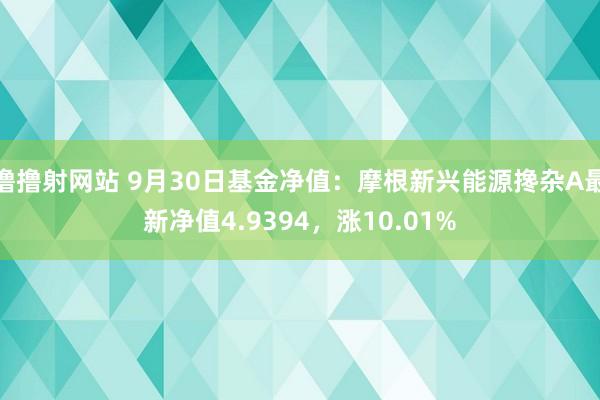 撸撸射网站 9月30日基金净值：摩根新兴能源搀杂A最新净值4.9394，涨10.01%