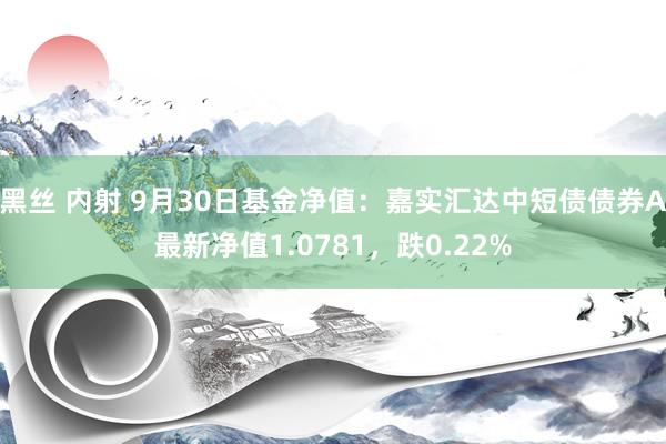 黑丝 内射 9月30日基金净值：嘉实汇达中短债债券A最新净值1.0781，跌0.22%