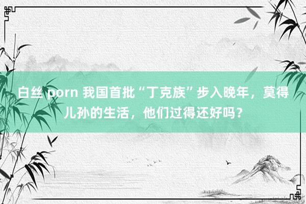 白丝 porn 我国首批“丁克族”步入晚年，莫得儿孙的生活，他们过得还好吗？