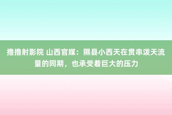 撸撸射影院 山西官媒：隰县小西天在贯串泼天流量的同期，也承受着巨大的压力