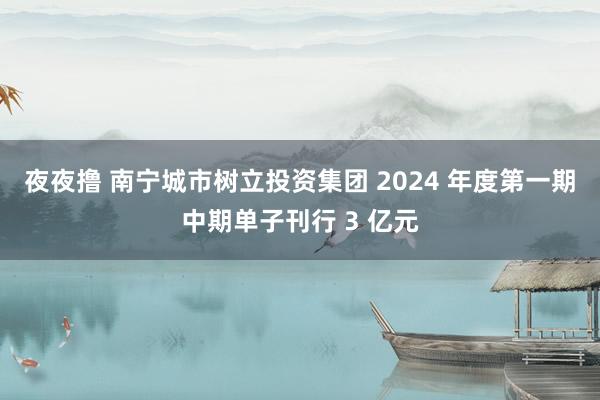 夜夜撸 南宁城市树立投资集团 2024 年度第一期中期单子刊行 3 亿元