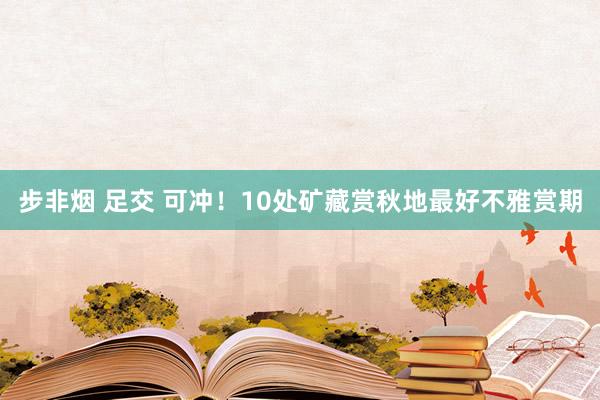 步非烟 足交 可冲！10处矿藏赏秋地最好不雅赏期