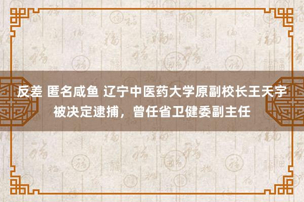 反差 匿名咸鱼 辽宁中医药大学原副校长王天宇被决定逮捕，曾任省卫健委副主任