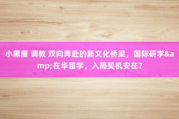 小黑屋 调教 双向奔赴的新文化桥梁，国际研学&在华留学，入局契机安在？