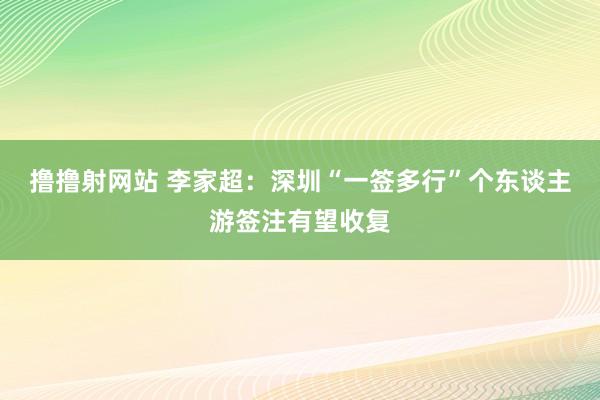 撸撸射网站 李家超：深圳“一签多行”个东谈主游签注有望收复