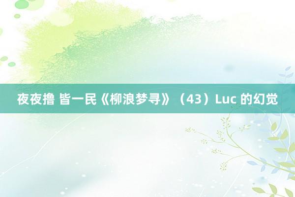 夜夜撸 皆一民《柳浪梦寻》（43）Luc 的幻觉