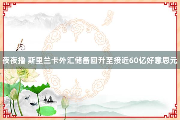 夜夜撸 斯里兰卡外汇储备回升至接近60亿好意思元