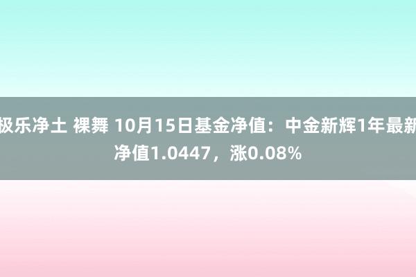 极乐净土 裸舞 10月15日基金净值：中金新辉1年最新净值1.0447，涨0.08%