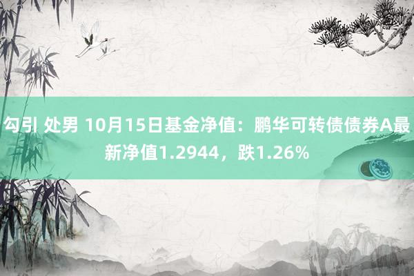 勾引 处男 10月15日基金净值：鹏华可转债债券A最新净值1.2944，跌1.26%