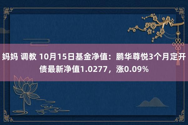 妈妈 调教 10月15日基金净值：鹏华尊悦3个月定开债最新净值1.0277，涨0.09%