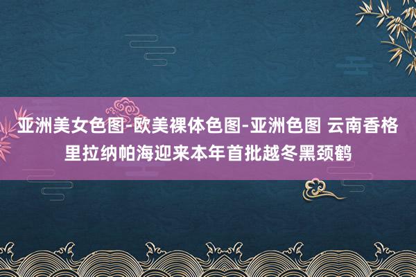 亚洲美女色图-欧美裸体色图-亚洲色图 云南香格里拉纳帕海迎来本年首批越冬黑颈鹤