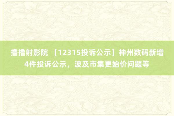 撸撸射影院 【12315投诉公示】神州数码新增4件投诉公示，波及市集更始价问题等