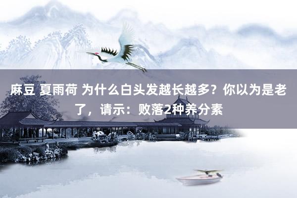 麻豆 夏雨荷 为什么白头发越长越多？你以为是老了，请示：败落2种养分素