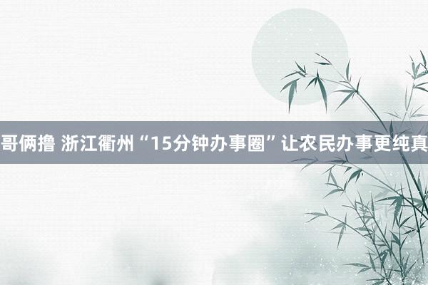 哥俩撸 浙江衢州“15分钟办事圈”让农民办事更纯真